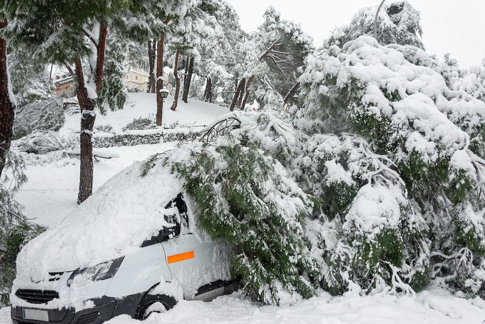 A damaged van covered in snow next to a tree at Rivers Edge Resort.