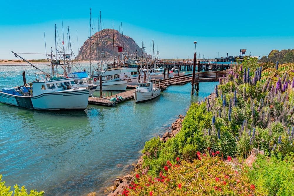 A group of boats docked at a waterfront near a mountain in Morro Bay.