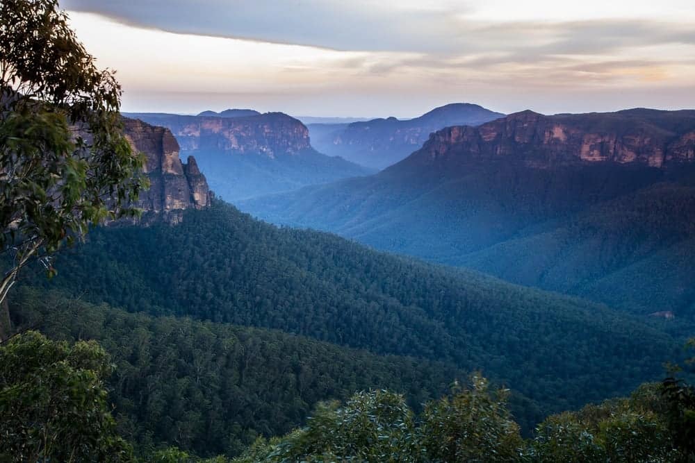 Blue Mountains National Park is a stunning nature reserve located in New South Wales. The park is known for its breathtaking blue-tinted mountain ranges and offers numerous walking tracks. However, the park has unfortunately