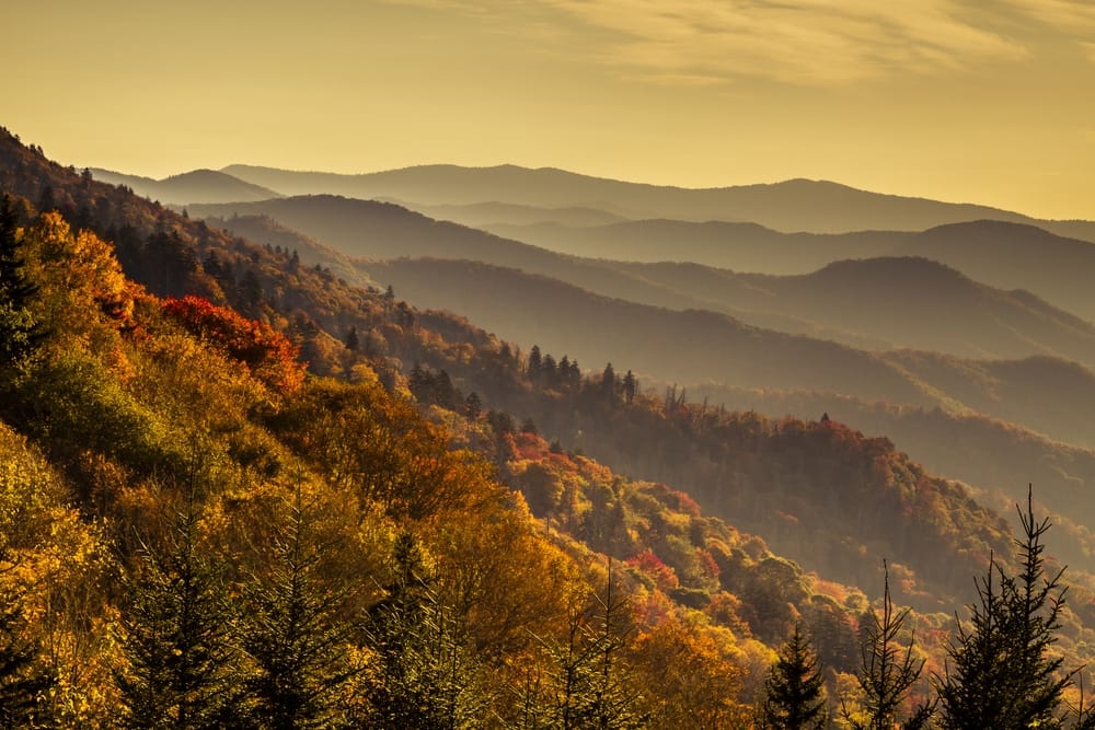 In autumn, the great smoky mountains offer breathtaking beauty with vibrant foliage. Visitors can explore the numerous trails that wind through the stunning scenery, immersing themselves in nature's paintbrush strokes. While