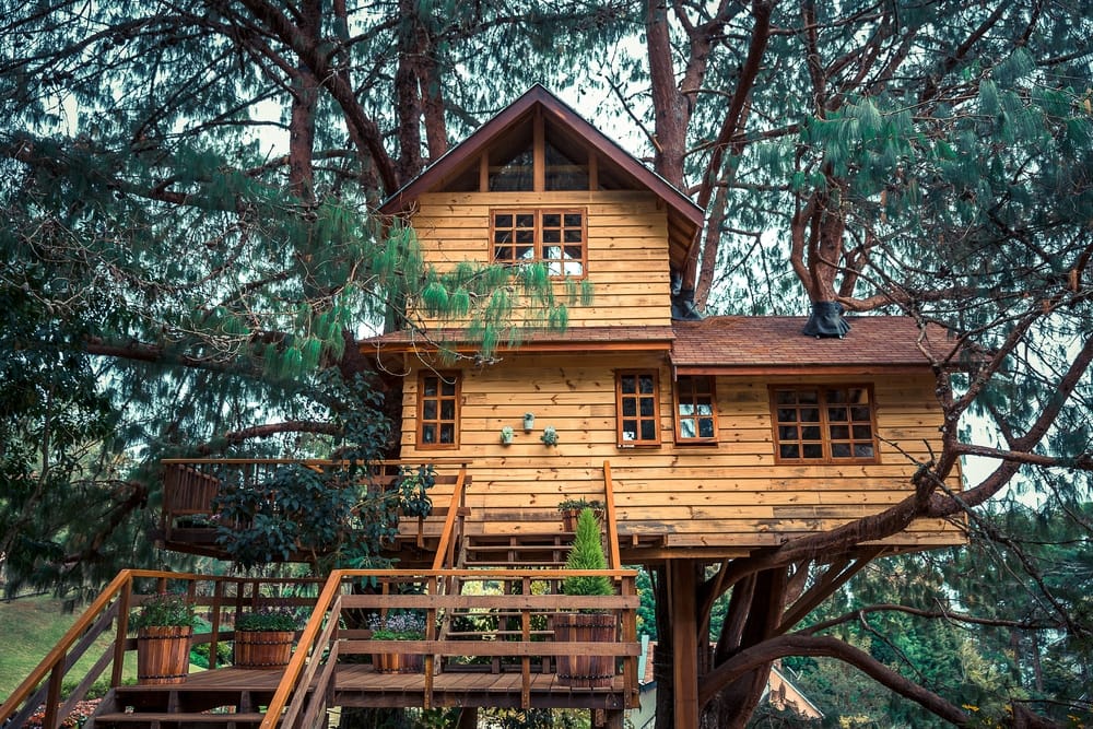 A tree house nestled in the heart of a dense forest, providing a unique glamping experience at a campground.