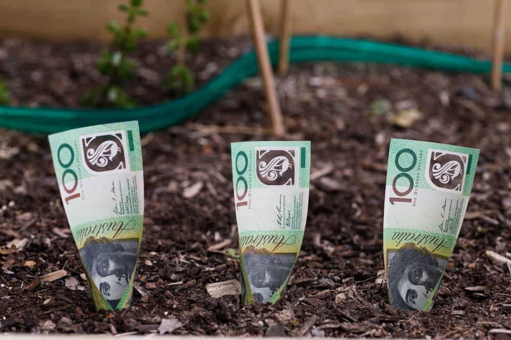 Three AU$20 Million australian dollar bills are growing in a garden.