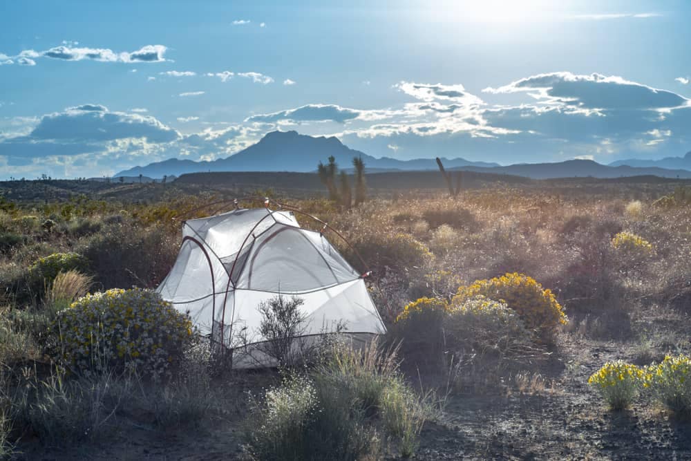 Dispersed camping in the desert with mountains in the background.