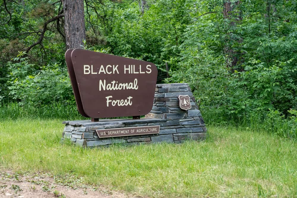 Prepare for an open and inviting sign for Black Hills National Forest campgrounds.