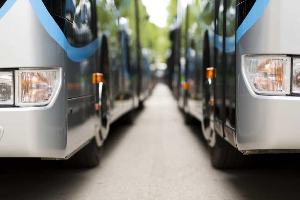 A row of shuttle buses parked next to each other at Eldorado Canyon State Park during a free weekend.