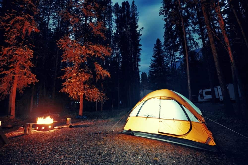 A Canadian tent glows in the woods at night while camping.
