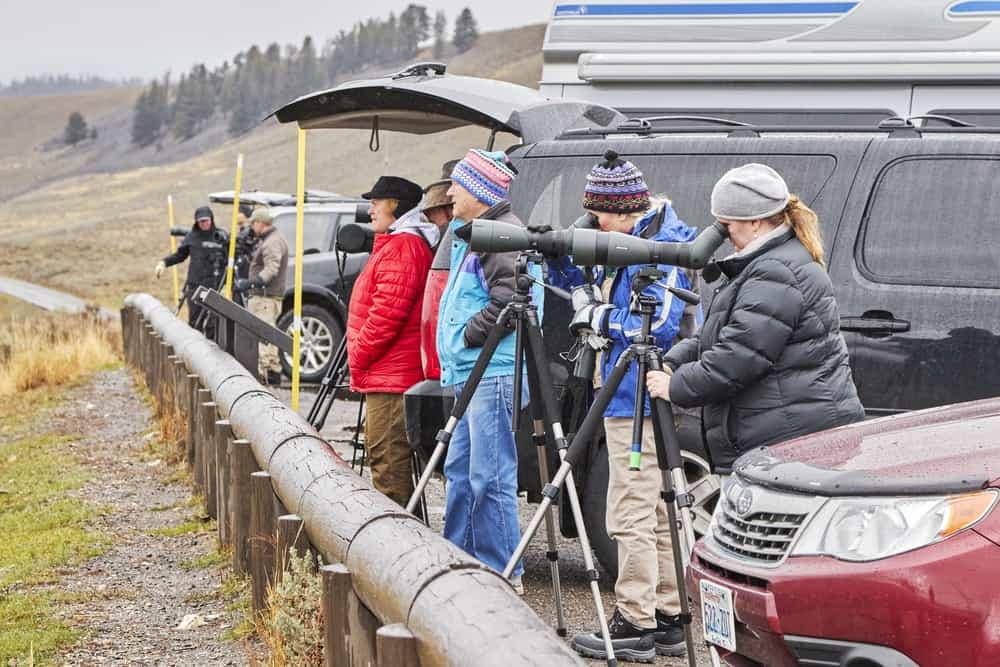 A group of people with binoculars standing next to a road in Montana State Parks.