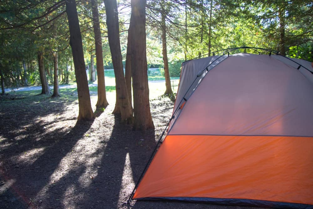 A busy campground in the woods of Michigan.