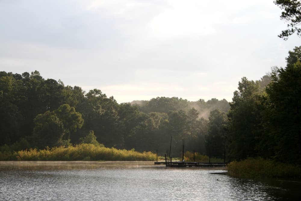 Close to Lake O' the Pines Campgrounds, this serene lake is a perfect spot to relax and unwind. Surrounded by towering trees and featuring a convenient dock, it offers a tranquil
