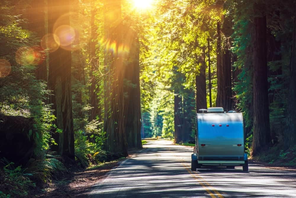 An American traveling down a road in the woods with their RV.