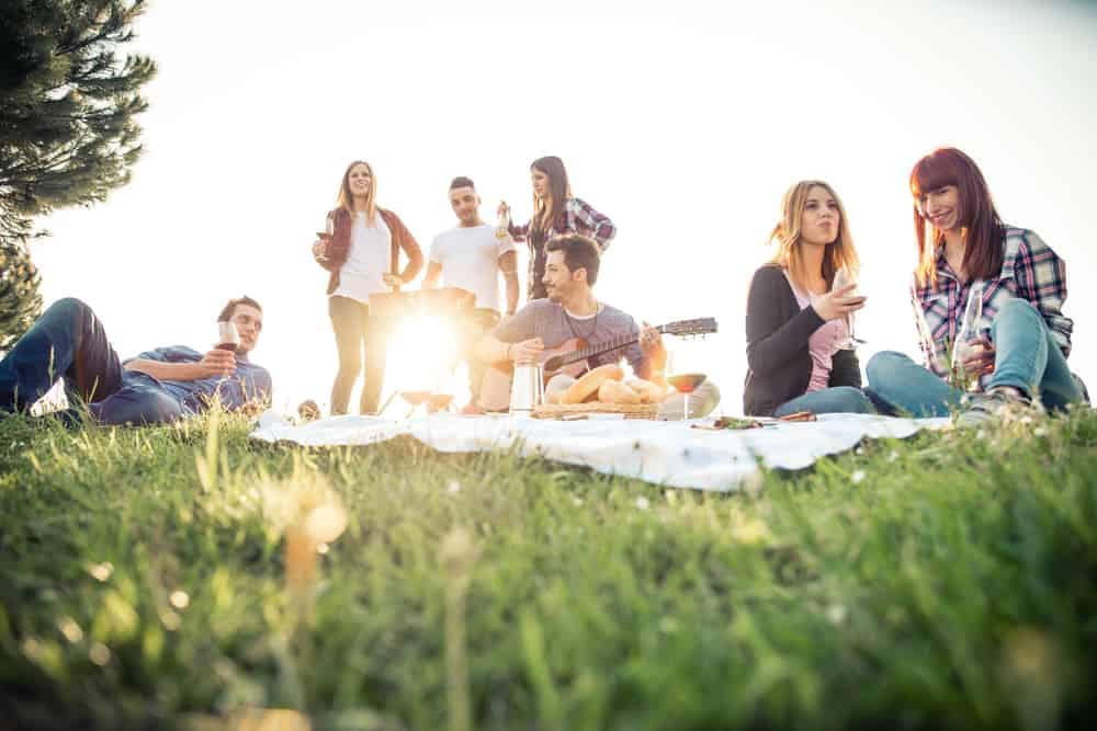 A group of friends having a picnic in a provincial park.