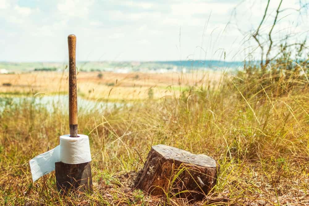 An ax in the grass adjacent to a toilet paper roll, amidst public waste comments.