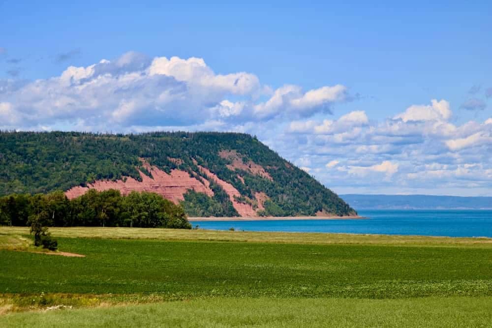 A green field with a view of the ocean and cliffs, perfect for Canada Parks Day returns.