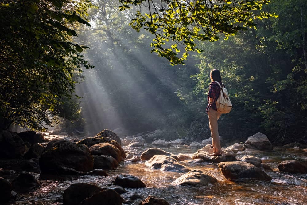 A woman is standing on rocks in a forest stream.