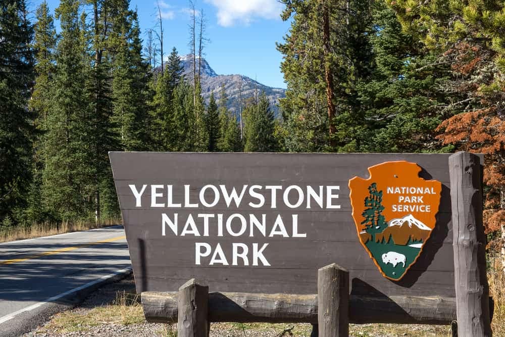 A Yellowstone National Park sign stands in front of a breathtaking forest.