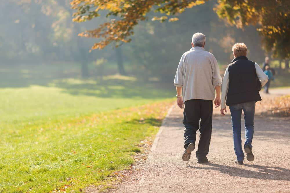 An older couple strolling through a picturesque path in a Ntional Park.