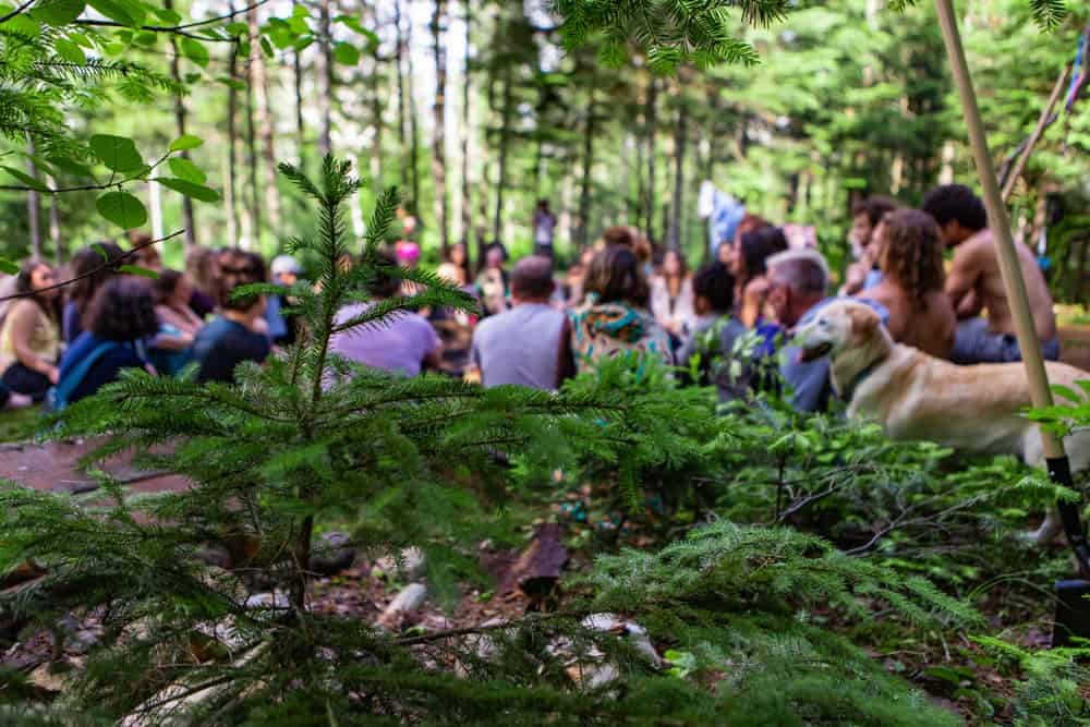 A group of Forest River owners gathered in a wooded area for an RVTI Owner's Group Rally.