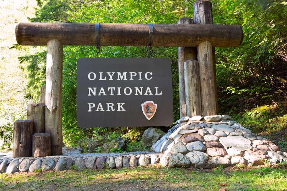 The sign for Olympic National Park is in front of a wooded area with Campfire restrictions.