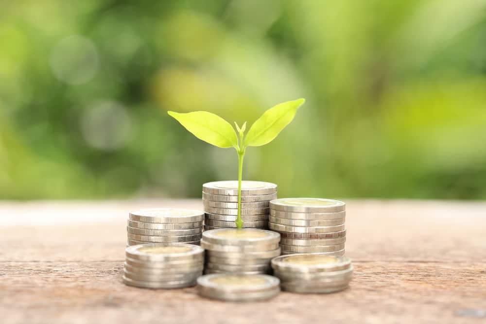 A stack of coins with a plant growing out of them at the Expansion campground in Grenville-sur-la-Rouge.