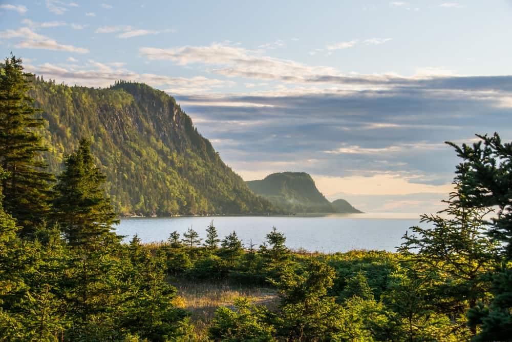A breathtaking view of a cliff with trees, overlooking the vast expanse of the ocean.