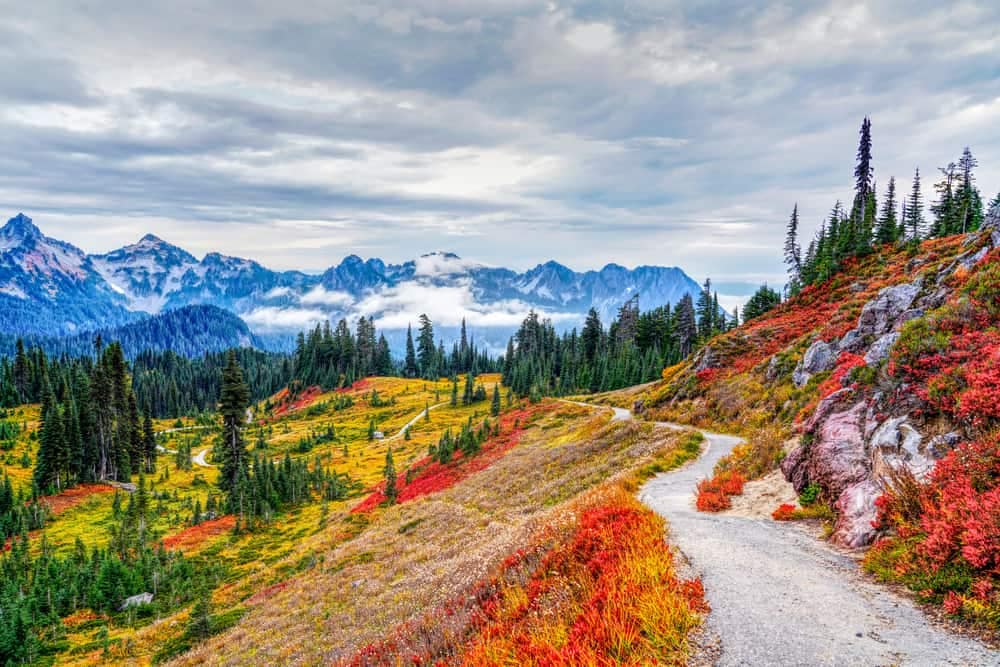 A trail leading to Mount Rainier National Park in the fall with a fire ban in place.