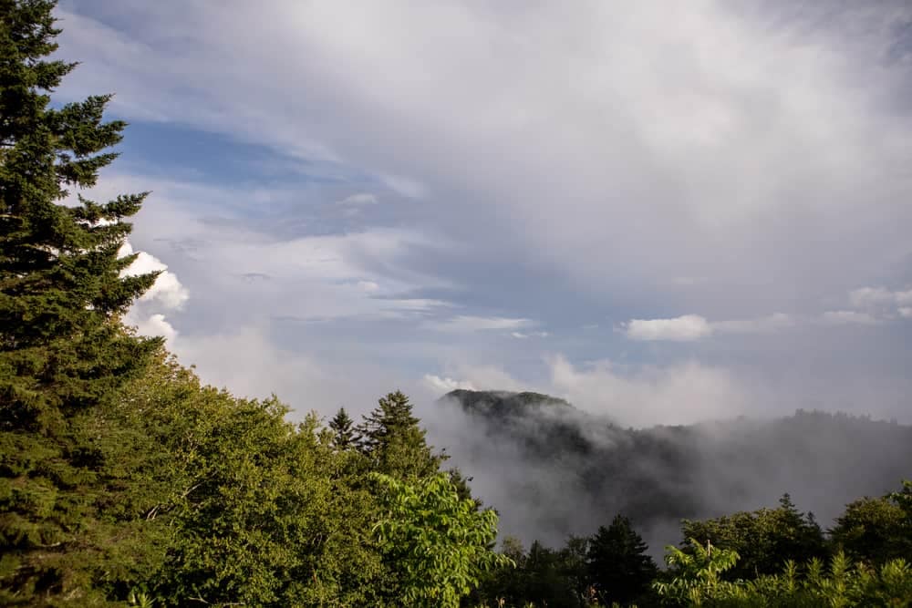 A scenic view of Savage Gulf State Park in Tennessee, with a majestic mountain enveloped in clouds and flourishing trees.