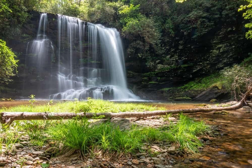 A stunning waterfall nestled in the heart of a vibrant green forest in Gorges State Park, perfect for campground adventurers.