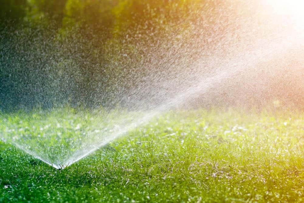 A sprinkler is spraying water on a green lawn, while the Forest Service tackles maintenance backlogs with GAOA Funds.