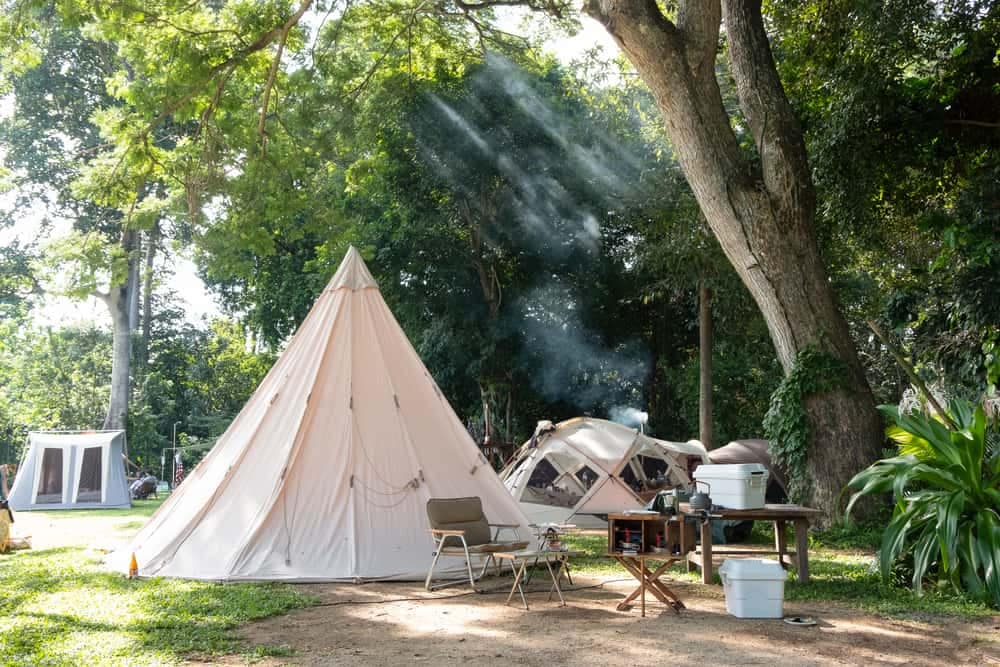 A record number of tourism bookings in the Netherlands has led to a group of tents being set up in a wooded area.