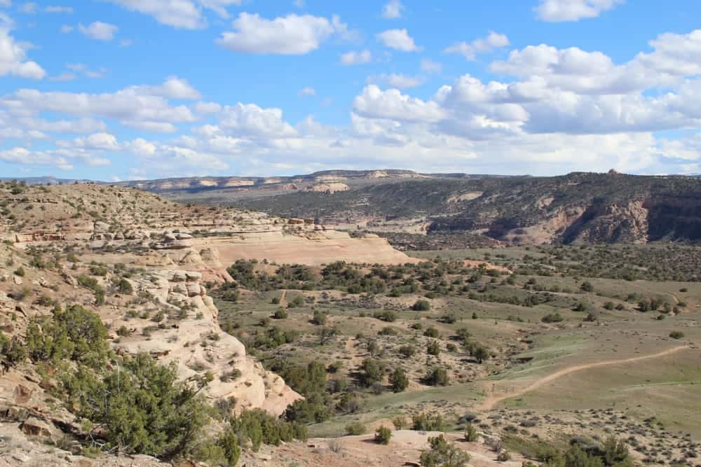 A picturesque view of a canyon adorned with lush trees and dramatic cliffs, offering a breathtaking sight for nature enthusiasts.