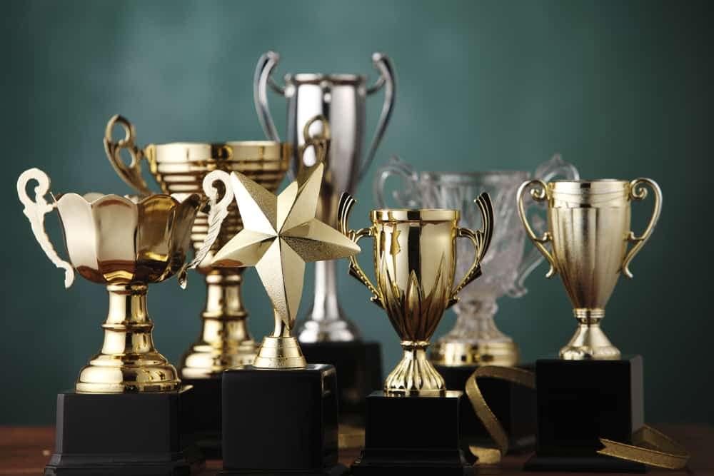 A table displaying a collection of trophy trophies for CCRVC's COHCE Award Nominations.