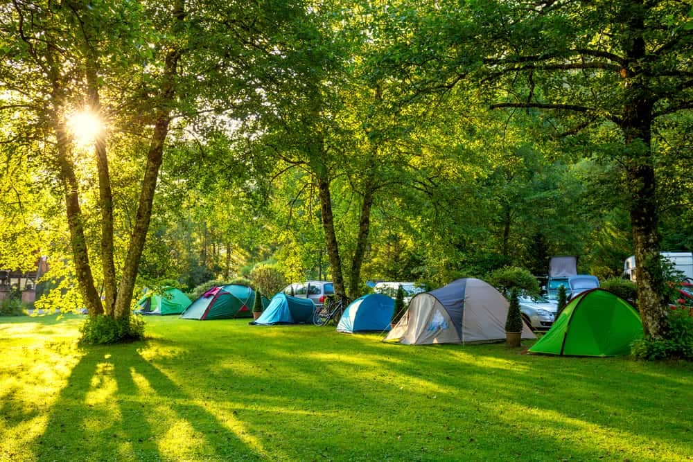 LeadingCampings in Europe offers camping tents in a grassy area with trees in the background.