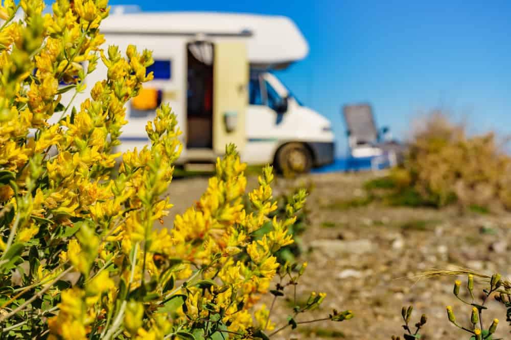 A cost-effective RV parked next to a vibrant field of yellow flowers, perfect for Spring break travel.
