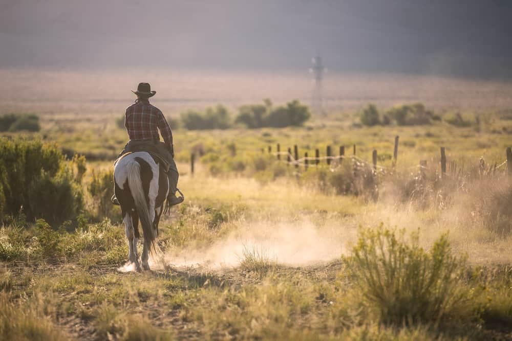 A cowboy riding a horse through the vast expanses of a Texas State Park desert.