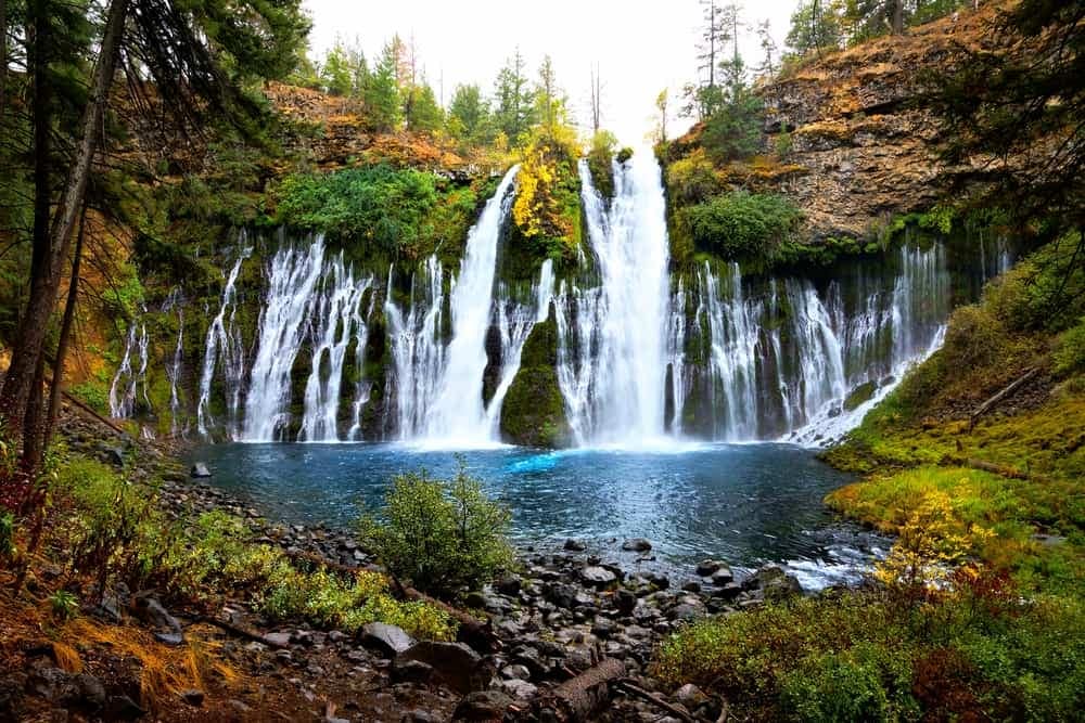 A stunning waterfall nestled within the enchanting forest of California.