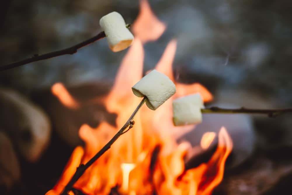 Yogi Bear's Jellystone Park features marshmallows on a stick in front of a campfire.