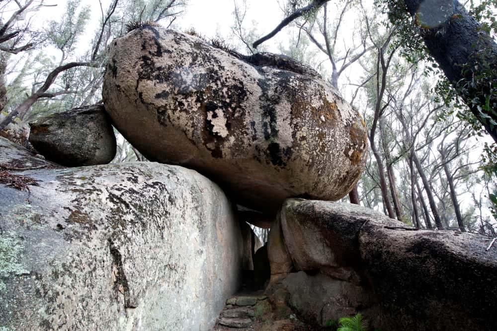 A large rock situated deep within Bald Rock National Park, offering an accessible and adventurous experience in a picturesque wooded area.