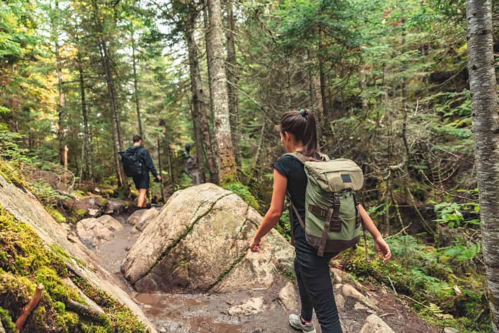 Two people enjoying a hike in Greenbelt Park near D.C.