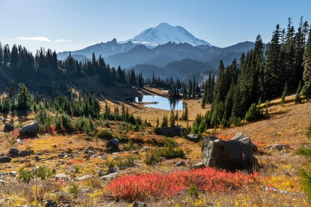 Enjoy the picturesque beauty of Mount Rainier National Park in the fall, with a stunning lake in the background.