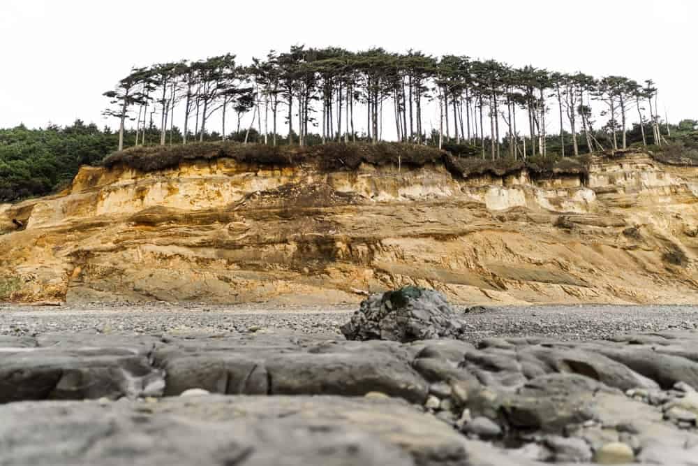 A rocky shore with trees and a cliff, featuring campgrounds for outdoor enthusiasts seeking an Oregon Coast adventure.