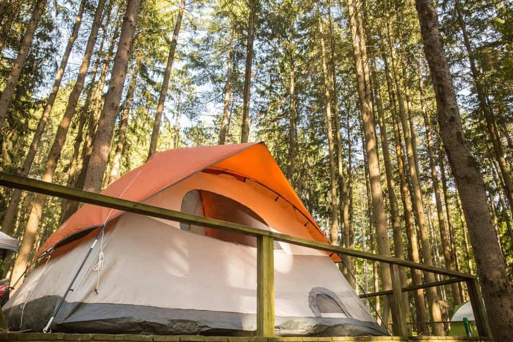 A tent is set up in a N.Y. State Campground for a flexible camping experience.