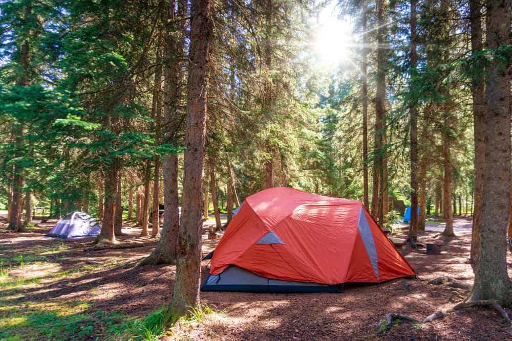 A group of tents set up in a wooded area within Provincial Parks and Recreational Facilities.