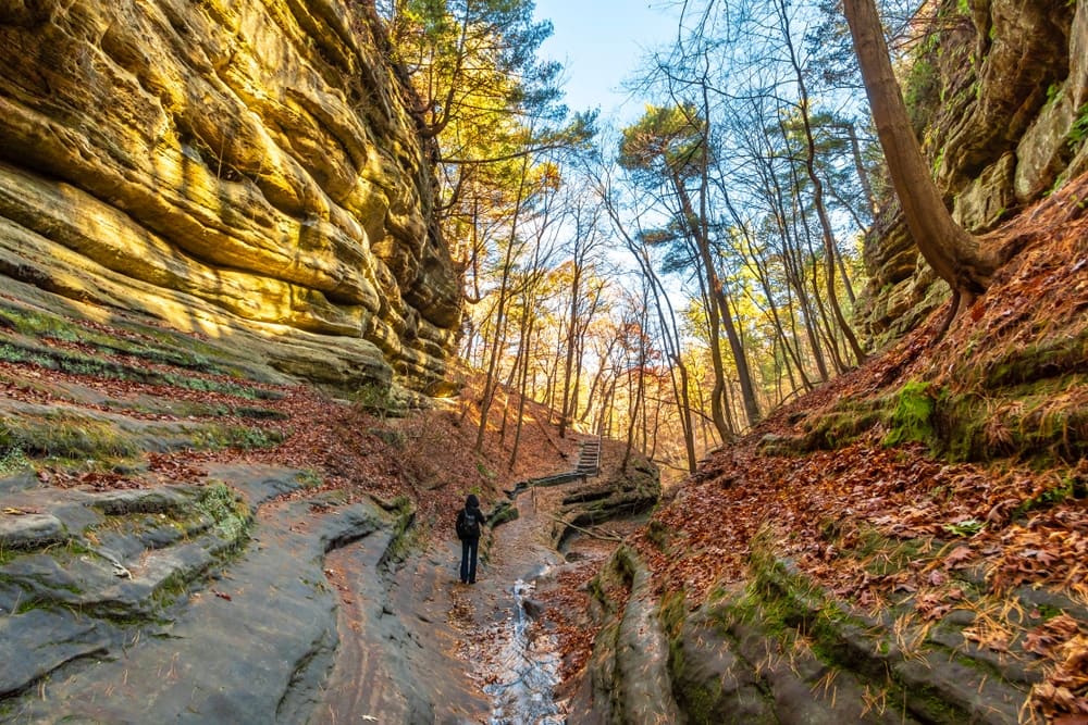 A man is walking through a narrow canyon in the fall at the Starved Rock Campground.