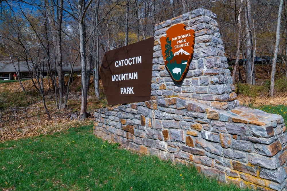 A stone sign in front of Catoctin Mountain Park, a wooded area known for battles and illegal ramp harvesting.