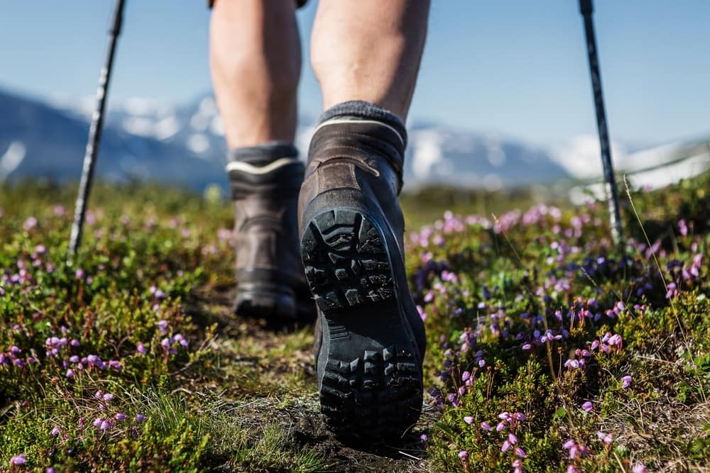 A person's feet walking through an overcrowded field of flowers near the Kite Lake Trailhead.