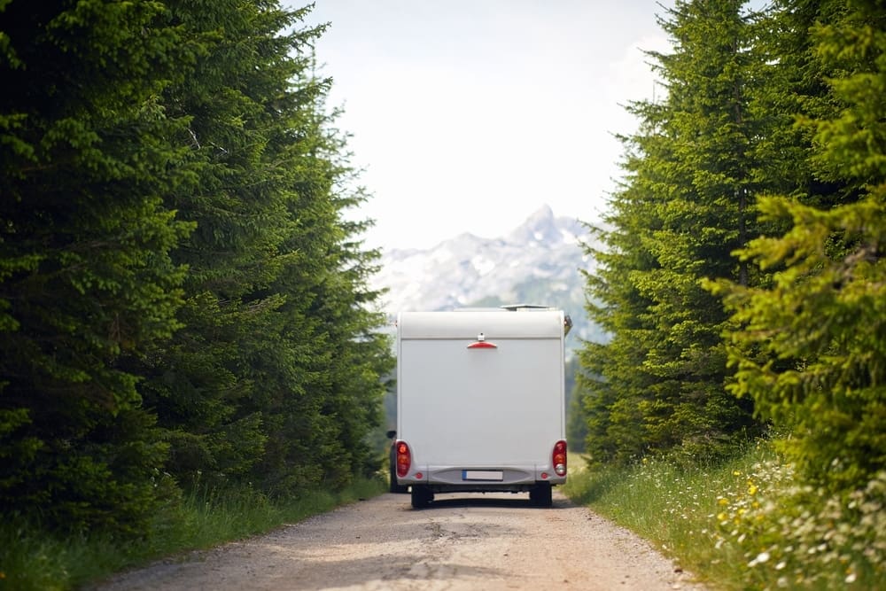 A white truck driving down a dirt road in a forest, surrounded by the serene beauty of nature.