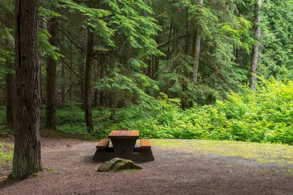 A picnic table sits in the middle of a Canadian forest during Camping Week.