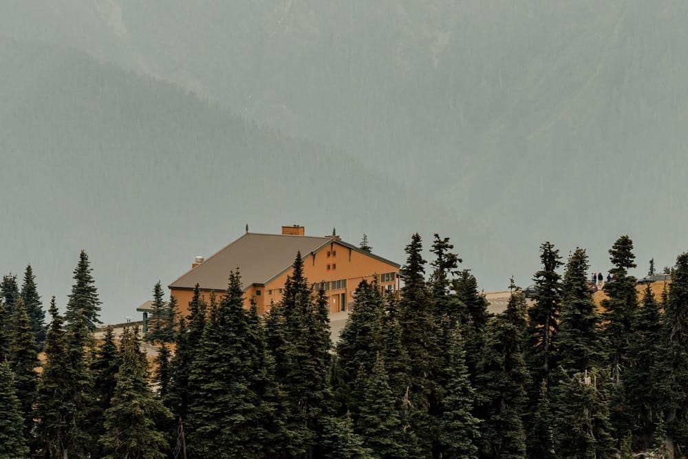 A yellow house engulfs the tranquility of a forest.
