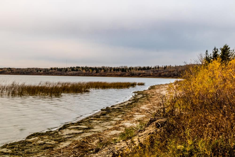 A serene lake enveloped by lush grass and vibrant weeds on a cloudy day in a Saskatchewan Provincial Park.