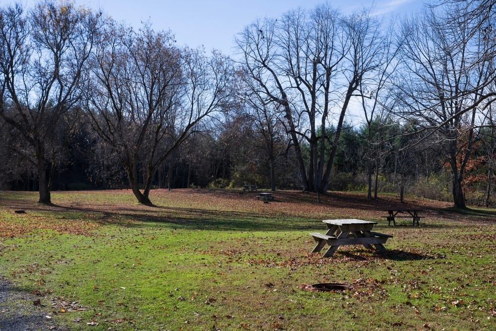 The picnic table at Sioux Valley Dakota Nation's Grand Valley Campground reopens for outdoor dining.